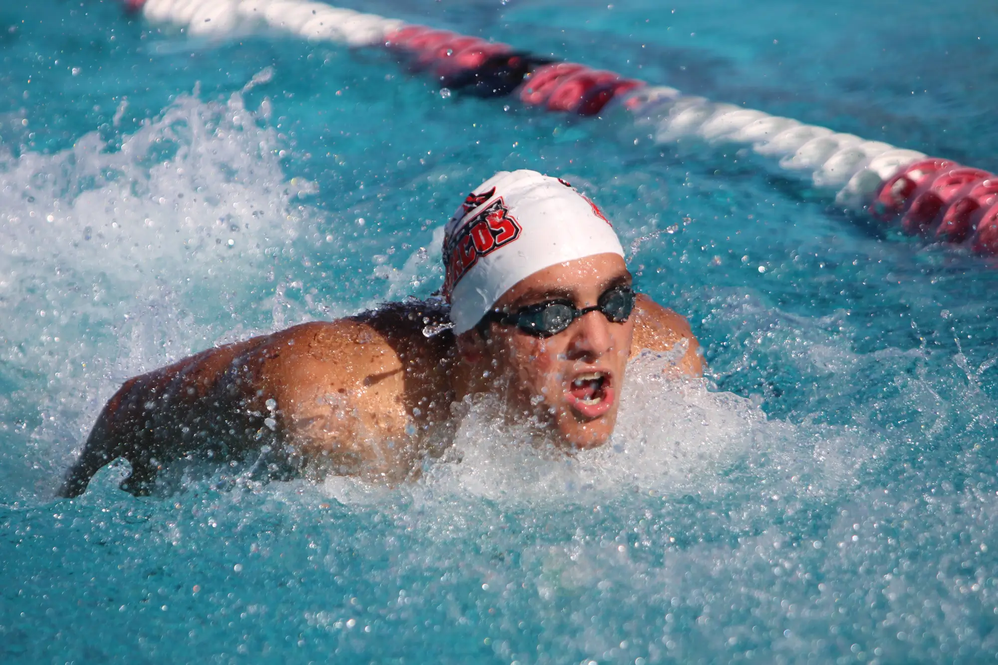 swimming6 copy
